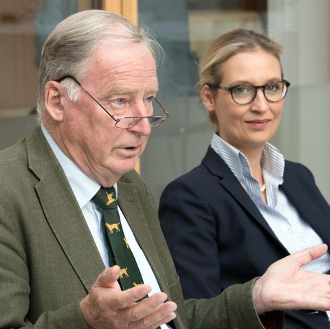 Wahlkampf-Rhetorik: Framing: Mit diesen Mitteln verbreitet die AfD ihre Botschaft