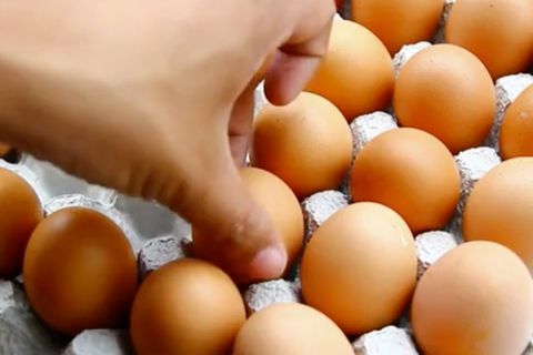 Gesunde Ernährung: Wie viele Eier pro Woche sind gesund?