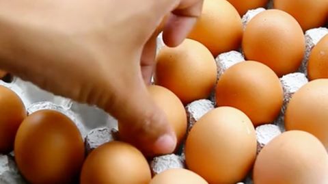 Riesiges Hühnerei: Ei der Daus, was ist denn da passiert?