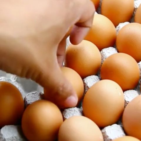 Gesunde Ernährung: Wie viele Eier pro Woche sind gesund?