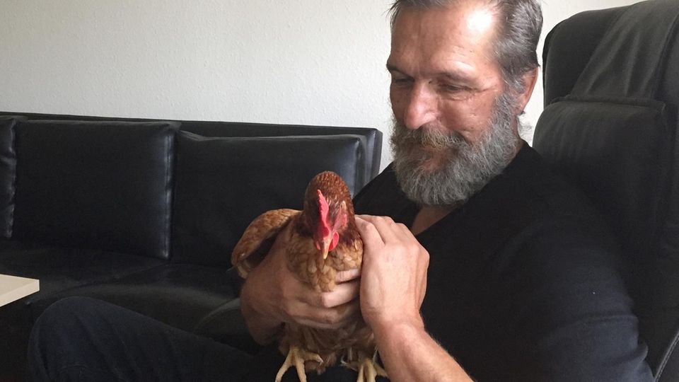 Alzheimer-Dorf in Svendborg Alzheimer-Dorf in Svendborg: Bewohner Ove sitzt mit einem Huhn im Wohnzimmer