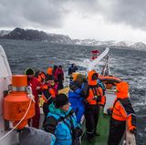 Vogelsafari am Nordkap