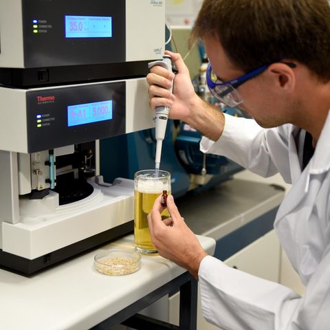 Der Erlanger Wissenschaftler Thomas Sommer entnimmt eine Bierprobe, um den Hordenin-Gehalt zu messen