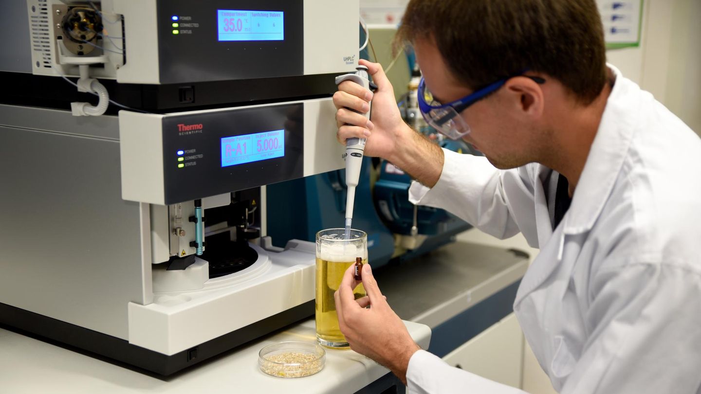 Der Erlanger Wissenschaftler Thomas Sommer entnimmt eine Bierprobe, um den Hordenin-Gehalt zu messen