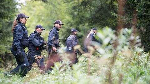 Nach dem Dreifachmord von Villingendorf hatte die Polizei tagelang umliegende Wälder durchsucht - ohne Ergebnis.