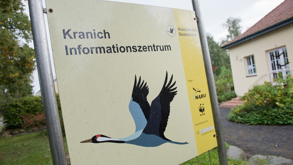Das Kranich-Informationszentrum in Groß Mohrdorf in Mecklenburg-Vorpommern