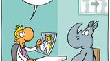 Zum Buch