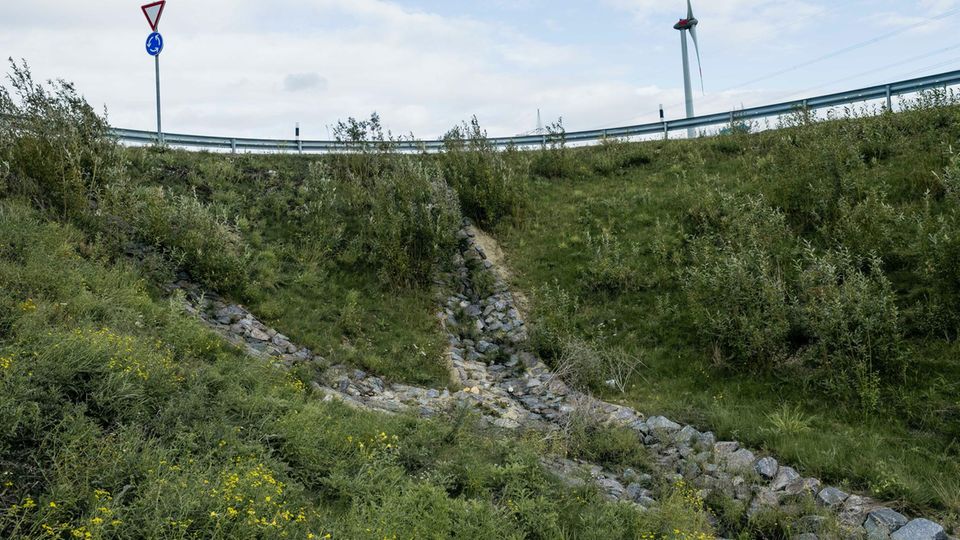 Eine Böschung an der A4 zwischen Aachen und Düren: Hier sollten einige Erpressungsopfer das Geld abwerfen