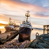 Von Bergen bis Kirkenes: Mit den Hurtigruten durch Norwegen