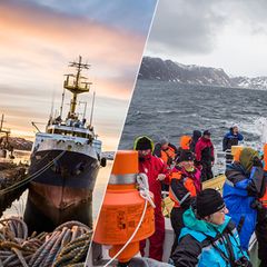 Von Bergen bis Kirkenes: Mit den Hurtigruten durch Norwegen