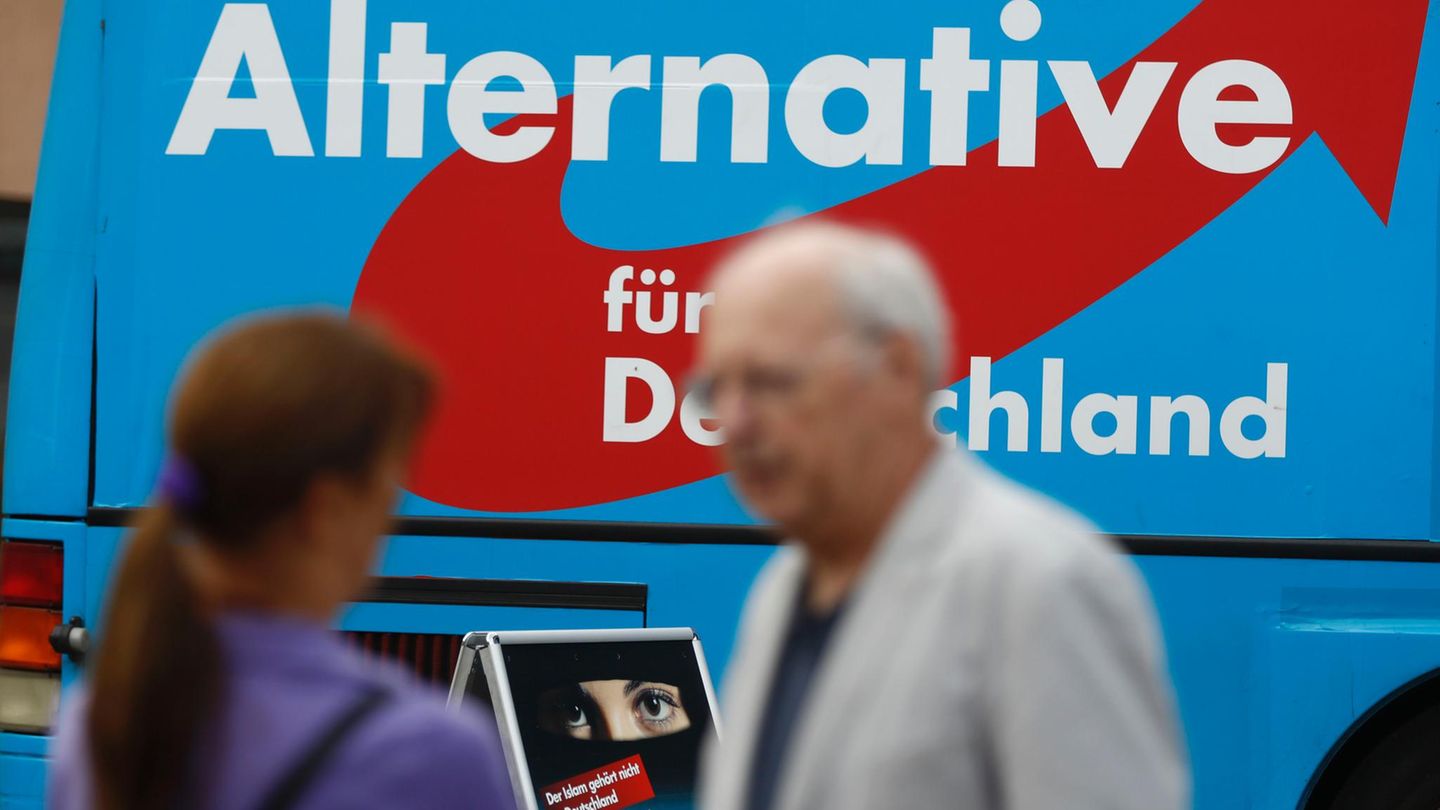 Ein AfD-Wahlplakat