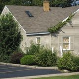 Hier ist der Wein auf der einen Seite in das Dach gekrochen und auf der anderen Seite hervorgekommen. In so einem Fall muss häufig das ganze Dach neu gedeckt werden. "Es gibt einen guten Grund Pflanzen von der Verkleidung fernzuhalten", stellt Lon Grossman von Technihouse Inspections lakonisch fest.