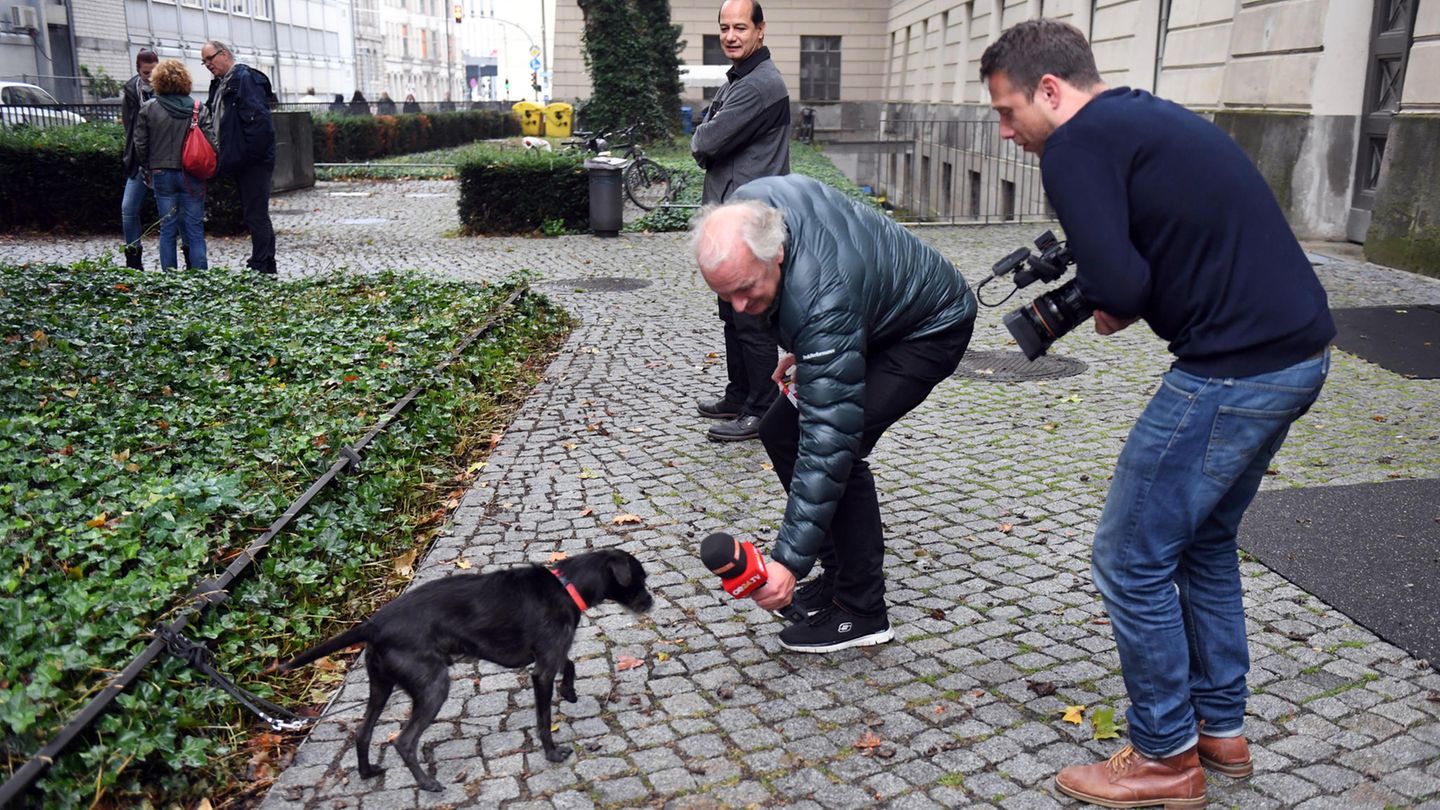 Berlin: Ob dieser Hund wohl eine gute Wahlprognose abzugeben hatte? Ein Fernsehteam von oe24 "interviewt" in Berlin einen Hund, der vor dem Wahllokal 108 im Bezirk Mitte angebunden ist. Er durfte nicht mit rein, als sein Herrchen wählen ging.