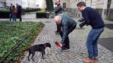 Berlin: Ob dieser Hund wohl eine gute Wahlprognose abzugeben hatte? Ein Fernsehteam von oe24 "interviewt" in Berlin einen Hund, der vor dem Wahllokal 108 im Bezirk Mitte angebunden ist. Er durfte nicht mit rein, als sein Herrchen wählen ging.