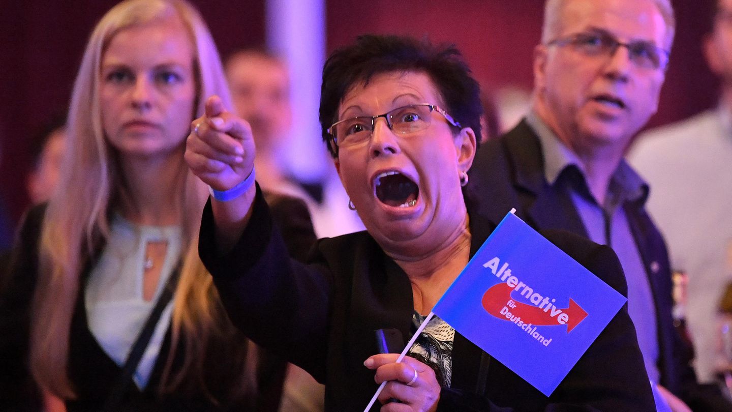 Eine jubelnde AfD-Anhängerin