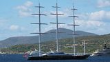 Maltese Falcon