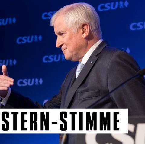 Horst Seehofer