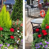 iPhone 8 Plus gegen Note 8: Showdown der Foto-Giganten