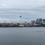 iPhone 8 Plus gegen Note 8: Showdown der Foto-Giganten