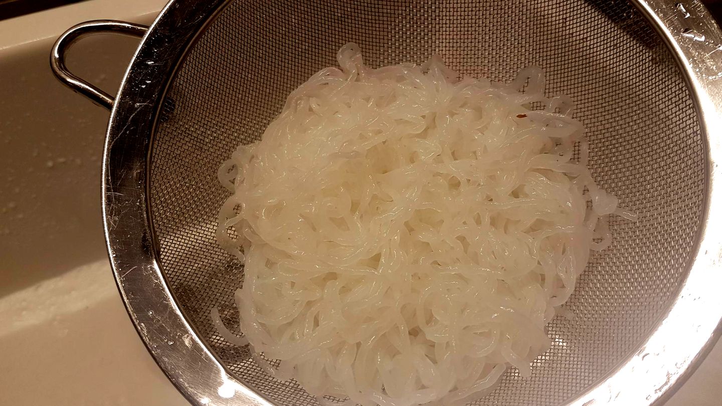 Kajnok im Test
