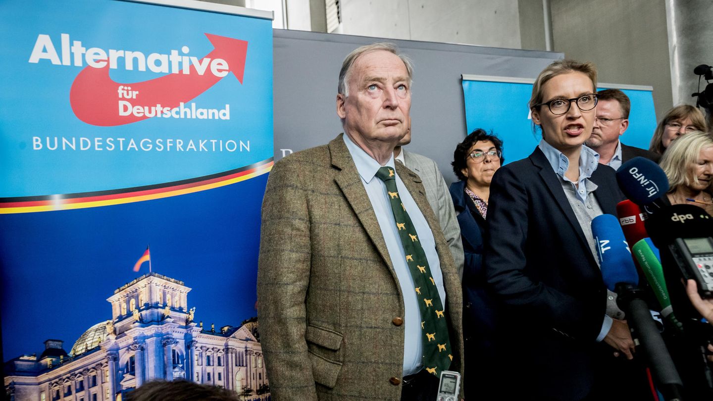 Die AfD-Bundestagsfraktion angeführt von Alexander Gauland und Alice Weidel