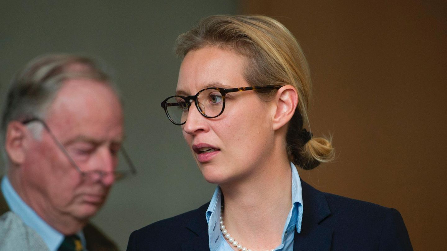 Alice Weidel und Alexander Gauland