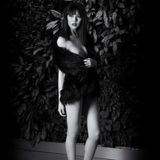 Manfred Baumann "Fine Nude Art No.11" Akt Kalender