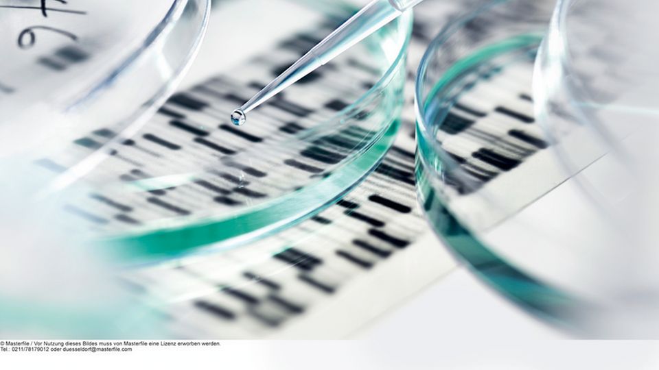 Gen-Forscher Craig Venter: Mehr als drei Milliarden Bausteine, aufgereiht zu einer Doppelspirale, bestimmen die biologische Identität des Menschen Mehr als drei Milliarden Bausteine, aufgereiht zu einer Doppelspirale, bestimmen die biologische Identität des Menschen