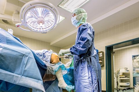 Entnahme: Für eine Transplantation stanzt der Orthopäde gesunden Knorpel aus dem Knie der Patientin