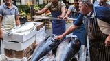 Drei Geheimtipps für den Mercato di Ortigia in SyrakusSpeisetipp: Ein perfektes Sandwich bei Andrea von der Caseificio Borderi. Aber Achtung: Eines reicht für zwei - versprochen.Achtung, Pause: Von 13 bis 16 Uhr ist Mittagsruhe, danach auch nur noch wenig los. Es ist einfach zu heiß.Vorher noch nie gesehen: Garnelenköpfe. Frittiert als Snack zwischendurch. Knusprig, toller Garnelengeschmack und für 1,50 Euro pro 500 g auch noch preiswert.
