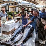 Drei Geheimtipps für den Mercato di Ortigia in SyrakusSpeisetipp: Ein perfektes Sandwich bei Andrea von der Caseificio Borderi. Aber Achtung: Eines reicht für zwei - versprochen.Achtung, Pause: Von 13 bis 16 Uhr ist Mittagsruhe, danach auch nur noch wenig los. Es ist einfach zu heiß.Vorher noch nie gesehen: Garnelenköpfe. Frittiert als Snack zwischendurch. Knusprig, toller Garnelengeschmack und für 1,50 Euro pro 500 g auch noch preiswert.