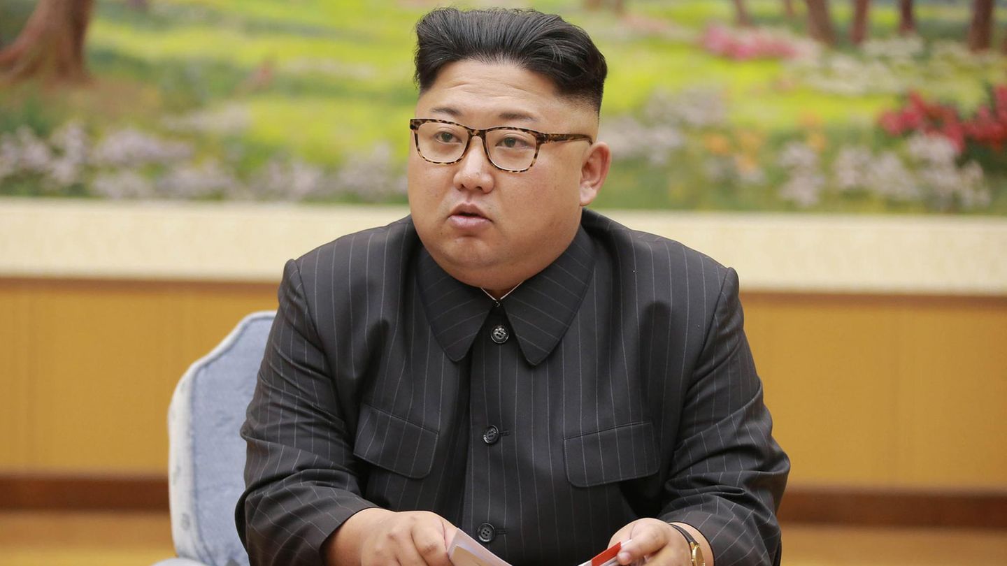 Der Machthaber von Nordkorea: Kim Jong Un