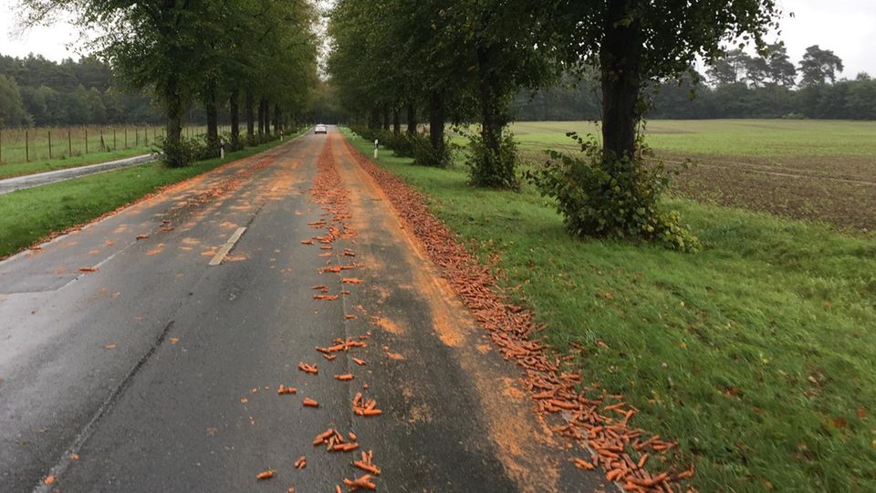 Nachrichten Deutschland - Möhren Nachrichten Deutschland - Möhren auf der Straße