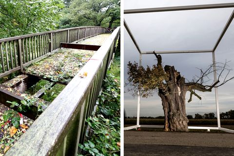 Bund der Steuerzahler veröffentlicht Schwarzbuch
