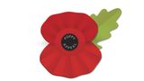 Poppy - Erinnerung an die Gefallenen  Wer sich beim Besuch in Großbritannien oder Australien gefragt hat, was die Mohnblumen zu bedeuten haben:  In Großbritannien und zahlreichen anderen, vornehmlich englischsprachigen Ländern wird am 11. November eine Mohnblume am Revers getragen, die "Remembrance Poppy". Mit ihr wird den Toten der Kriege, vornehmlich jener der beiden Weltkriege, gedacht. Das Symbol der roten Blume geht auf ein Gedicht des Kanadiers John McCrae zurück. "In Falnders Field" zieht eine Parallele zwischen der rot-schwarzen Blüte und den vom Purpur des Blutes gefallener Soldaten umgebenen Schlachtfeldern.
