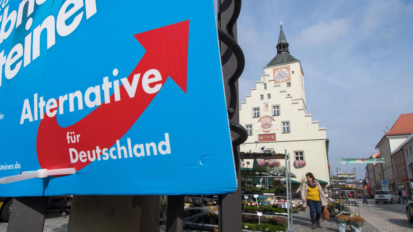 Die Alternative für Deutschland (AfD) wird primär von Wählern gewählt, die eher modernisierungsskeptisch sind