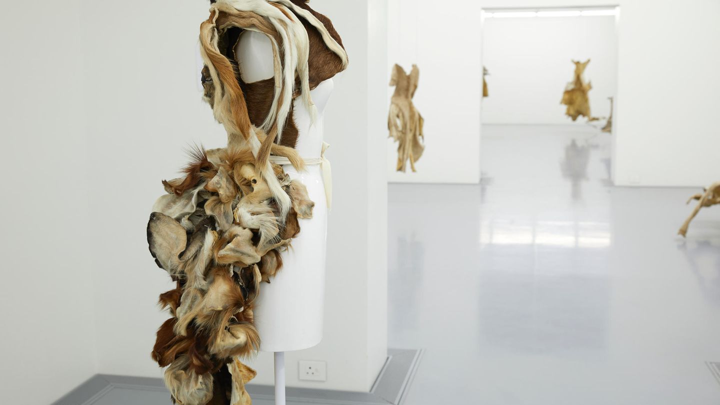 Zeitz Museum of Contemporary Art Africa