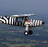 Das ist normalerweise meine Welt, hier am Steuer einer Dornier Do-27. Mit dem Oldtimer dieses Typs drehten Bernhard Grizmek und sein Sohn 1958 ihren Film "Die Serengeti darf nicht sterben". 