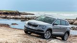 Auch im Gelände kommt der Skoda Karoq gut klar