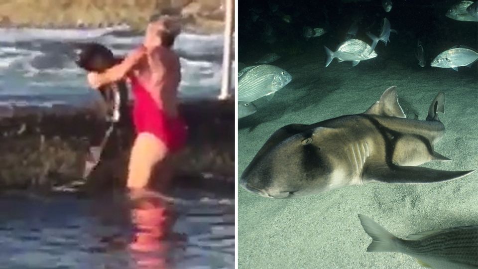 Australien: Hai greift Kajak an - Vater rettet Tochter in letzter Sekunde