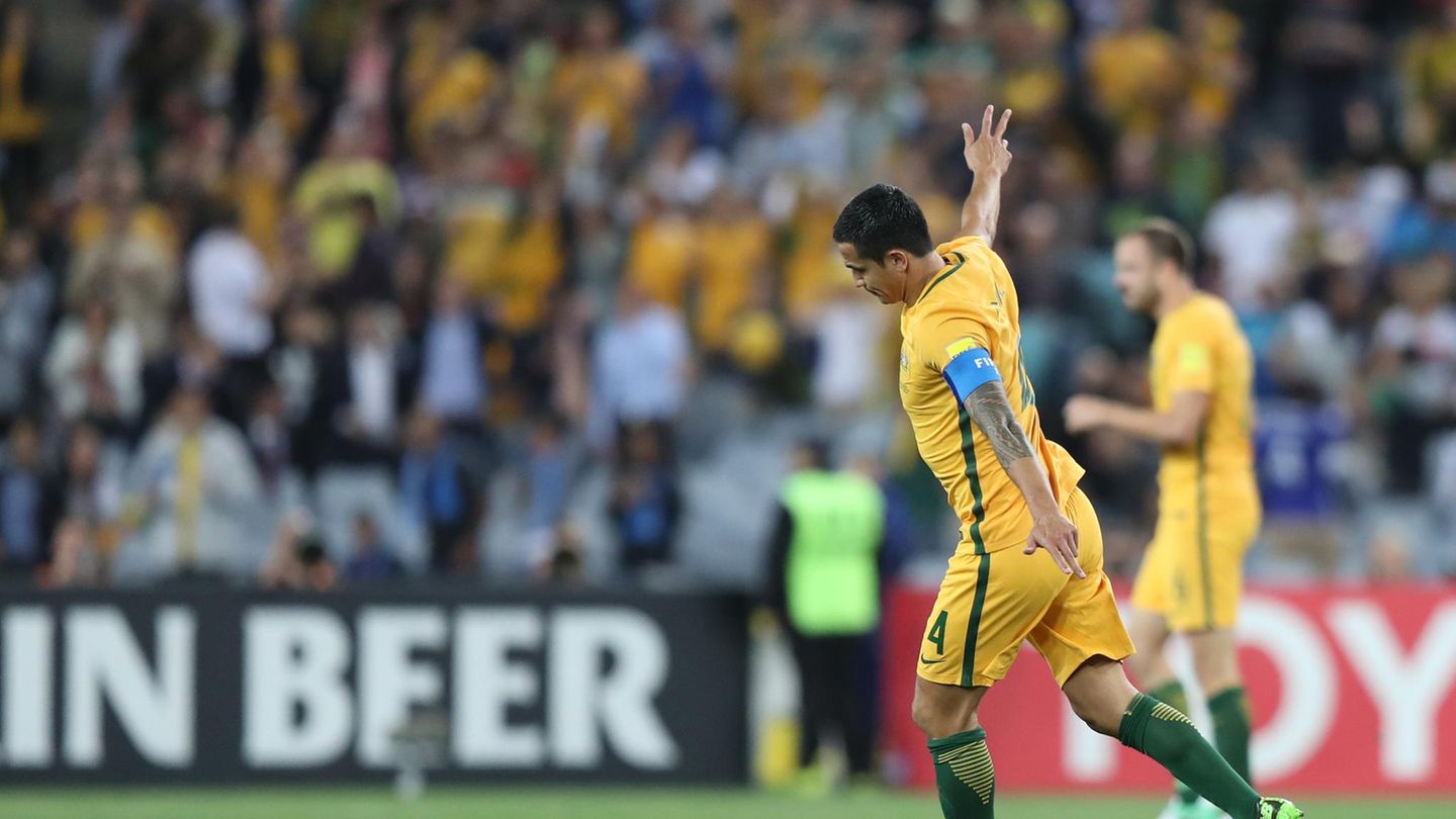 Tim Cahill