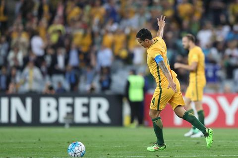 Tim Cahill