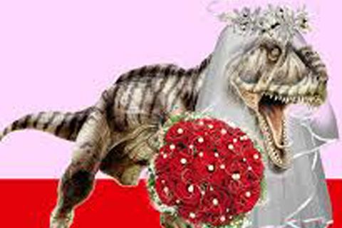 Meine Freundin wurde zur Bridezilla – kann ich ihr deshalb die Freundschaft kündigen?