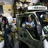 Bei der Firma Shizai bereiten Arbeiter Kartons und Papier für die Wiedederverwertung vor – 50 bis 60 Tonnen am Tag