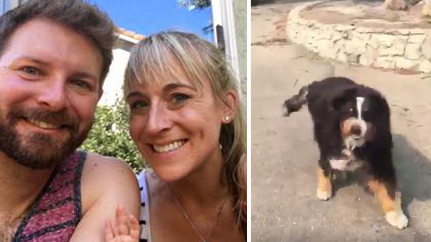 Wieder vereint: Familie Widen und Familienhund Izzy