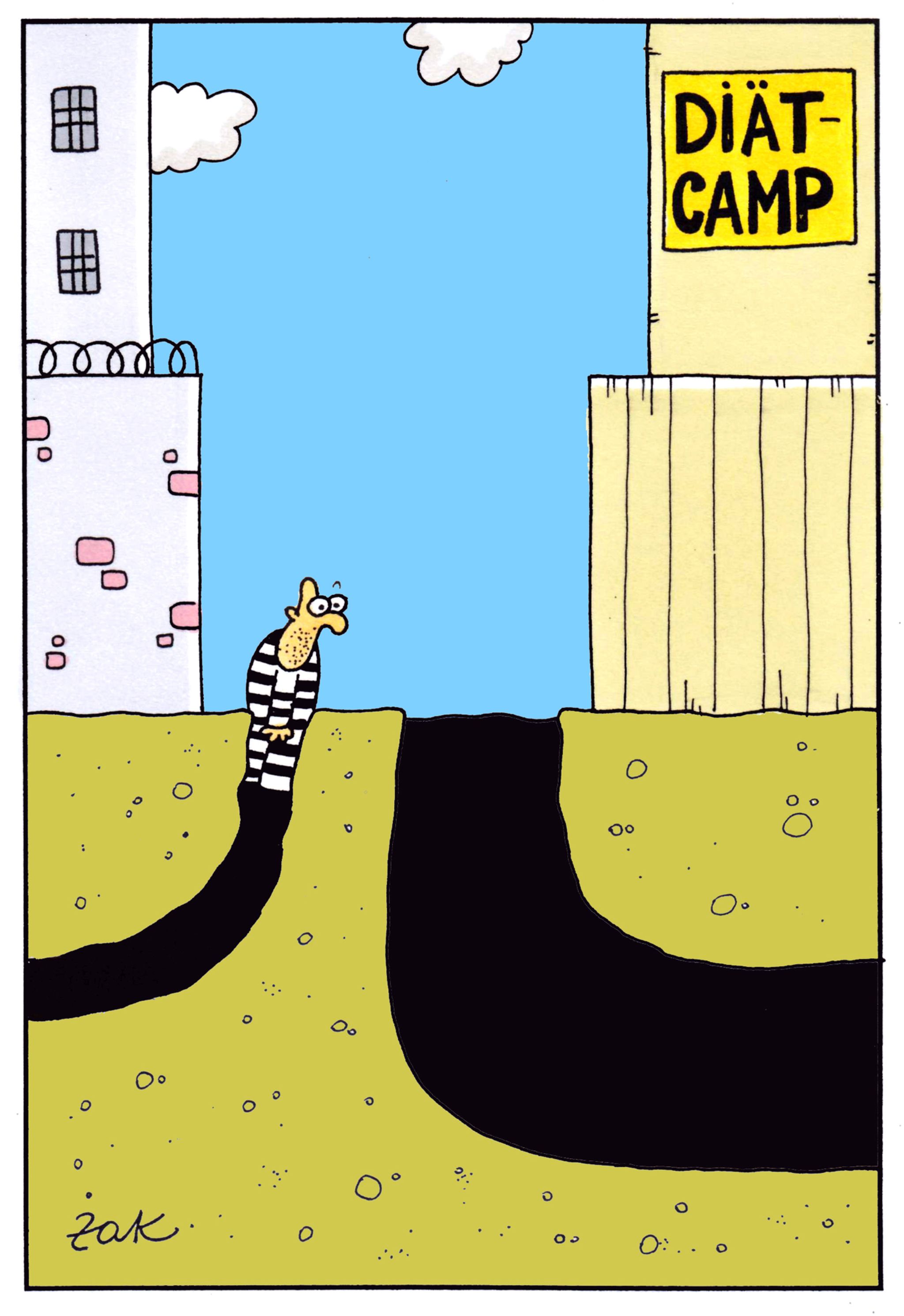 Cartoons von Martin Zak STERN.de