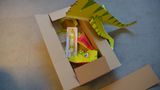 Der kleine Knick im Test