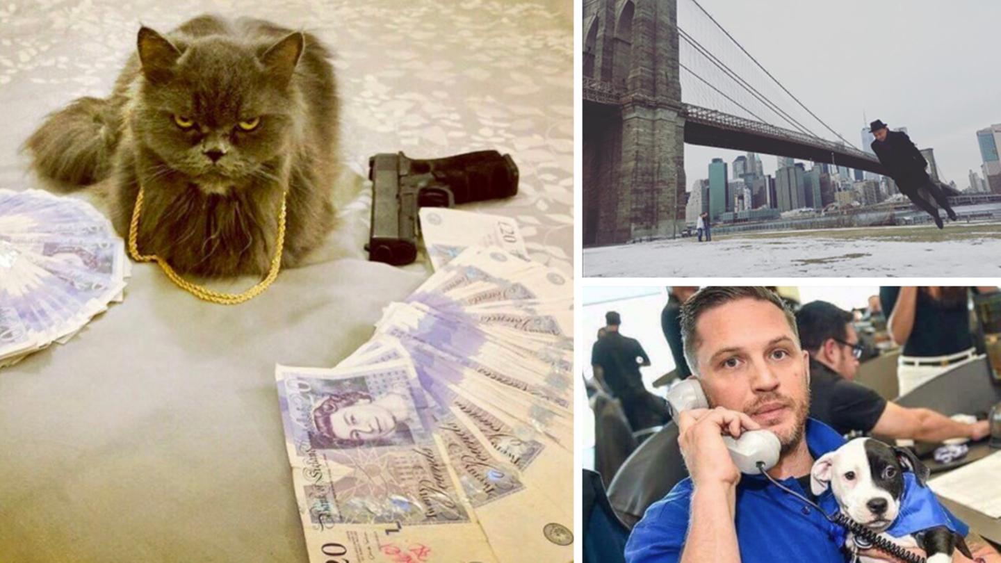 Drei verrückt Bilder von Instagram