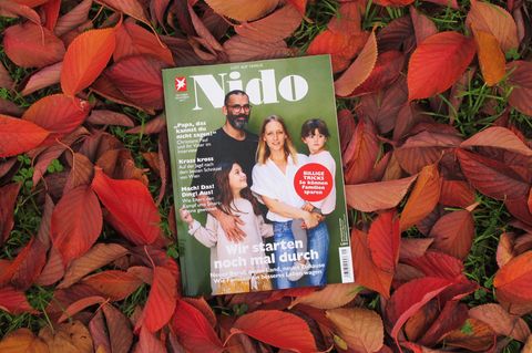Neuanfang, Schnitzeljagd, Smartphone: Diese Themen stehen in der November-Ausgabe der Nido