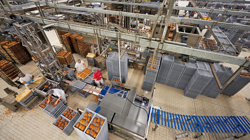 Von der Backkunst zum Industrieprodukt: Auch die Produktion bei Bäcker Görtz in Ludwigshafen gilt als handwerklich. Hier aber bestimmen die Maschinen den Takt Auch die Produktion bei Bäcker Görtz in Ludwigshafen gilt als handwerklich. Hier aber bestimmen die Maschinen den Takt